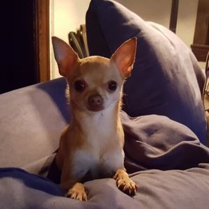 Meet your Posher, Yolanda